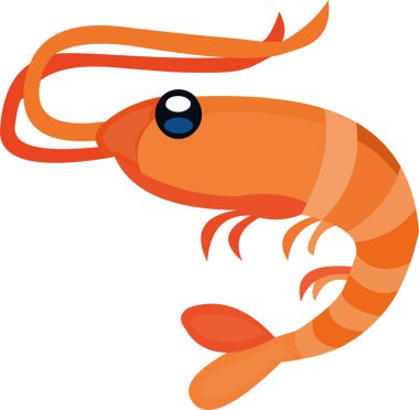 Çizgi film karidesinin vektör çizimi