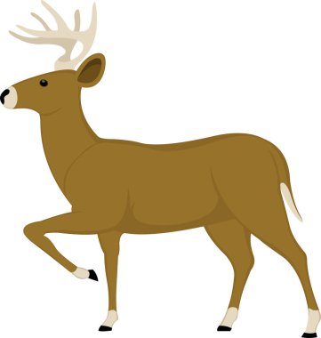 Şirin bir geyiğin vektör çizimi