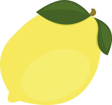 Limon meyvesinin vektör illüstrasyonu