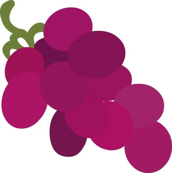 Vector Ilustración Racimo Uvas — Archivo Imágenes Vectoriales