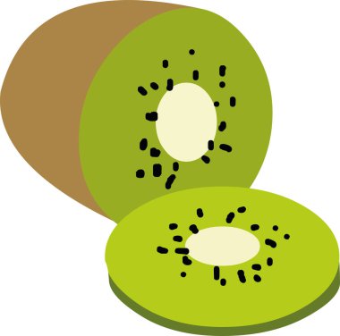 Tropikal kivi meyvesinin vektör illüstrasyonu