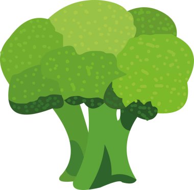 Brokoli sebzesinin vektör çizimi