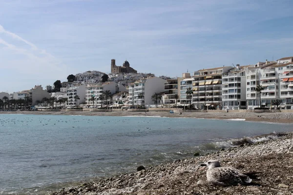 Verano 'daki Playa de altea