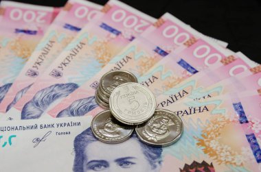Yeni Ukrayna Hryvnia 'sı ve sikkeleri. 200 Hryvnia. Mali konsept.