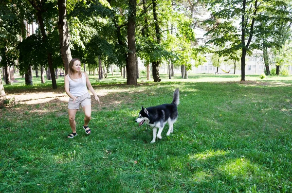 Ελκυστική Ξανθιά Τρέχει Και Παίζει Σκυλί Της Στο Πάρκο — Φωτογραφία Αρχείου