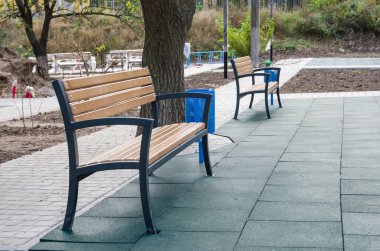 Bahçedeki parktaki ahşap banklar.