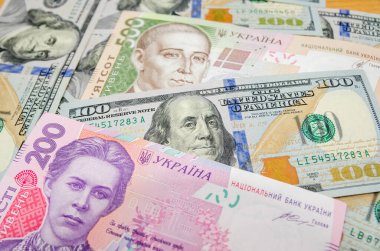 100 Amerikan doları ve 200, 500 Ukrayna Hrivnia banknotu. Hryvnia 'nın dolara oranı. Değişim oranları.