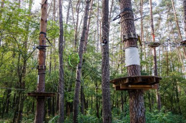 Ağaçlarda aşırı halat labirenti. Yetişkinler için halat parkı.