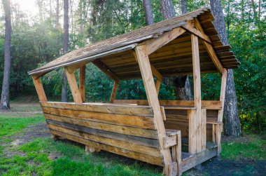 Ormandaki ahşap çardak ve güneş ışınları.