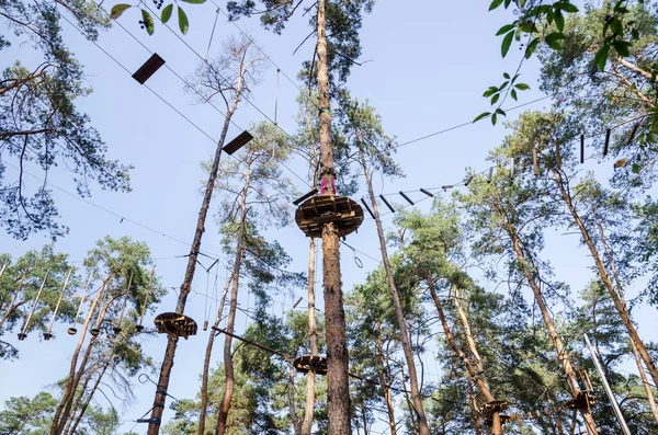 Extreem Touw Doolhof Bomen Touwpark Voor Volwassenen — Stockfoto