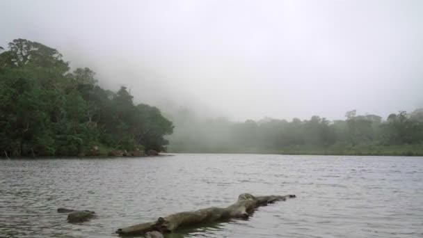 Lago Montaña Fuerte Niebla Amanecer Niebla Gruesa Selva Tropical Salvaje — Vídeos de Stock