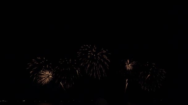밤하늘에 라이트가 황금빛의 커다란 폭죽들 파이어 워크업쇼 불꽃놀이 불꽃놀이 — 비디오
