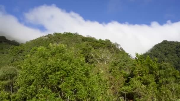 Nuvole Veloci Sulle Montagne Vegetazione Tropicale Montagne Giungla Disabitata — Video Stock
