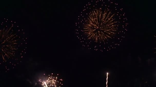 Gouden grote glanzende vuurwerk met bokeh lichten aan de nachtelijke hemel. gloeiend vuurwerk — Stockvideo