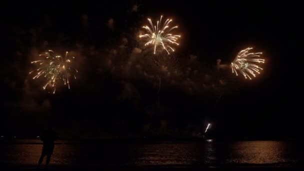 Gouden grote glanzende vuurwerk met bokeh lichten aan de nachtelijke hemel. gloeiend vuurwerk — Stockvideo