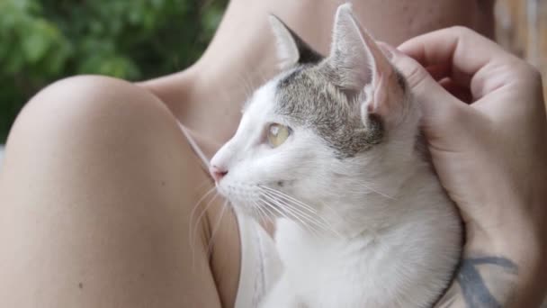 Genç Bir Kadın Kollarında Beyaz Bir Kedi Yavrusu Tutuyor Yavaş — Stok video