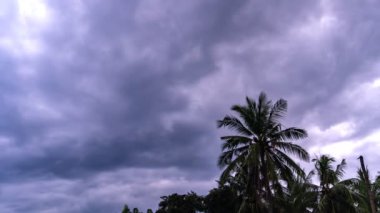 Obez yağmur bulutlarının bir palmiye ağacının arka planında yaptığı hareketler. Dramatik bir gökyüzü. Yüksek kalite 4k görüntü