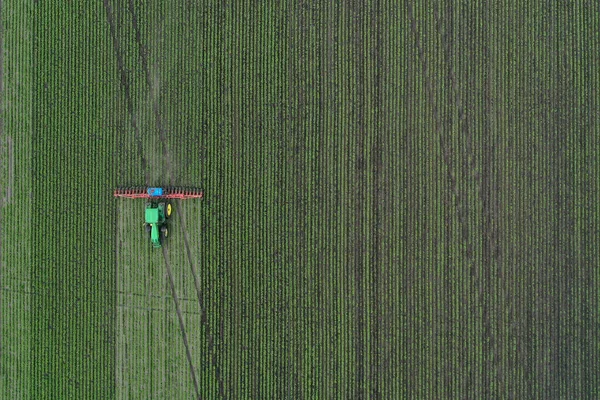 Luftaufnahme Eines Jungen Rote Beete Feldes Und Eines Traktors Der — Stockfoto