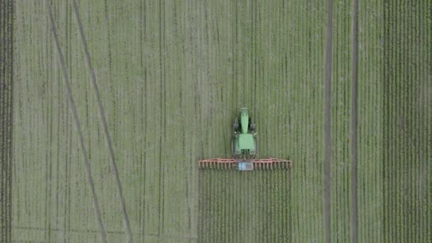 Letecký pohled na mladé pole řepy a hnojivo postřikující traktor — Stock video