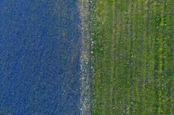 Fronteira do campo de flores lilás de delphinium e grama verde, vista aérea, separação no centro — Fotografia de Stock