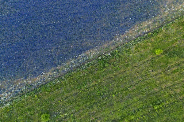 Плоский край поля сиреневых цветов дельфиния и зеленой травы, вид с воздуха, диагональ — стоковое фото