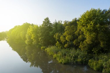 Gün batımında nehir ve ağaçlar, güneş ışınları, akşam manzarası. Yazın hava manzarası.