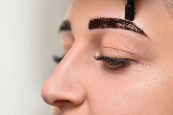 Eyebrow coloring with henna in a beauty salon female face close up