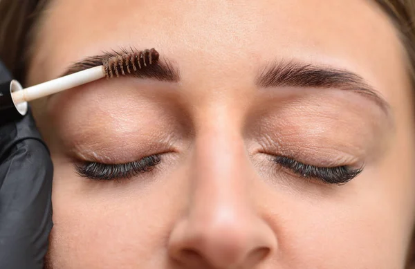 The process of dyeing eyebrows with henna and the face of a young woman — Stock Photo, Image