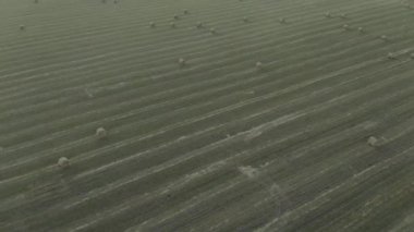 Buğday hasadından sonra saman balyalarıyla büyük tarlaların havadan görünüşü