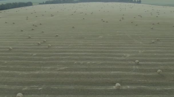 Vista aerea di grande campo con balle di fieno dopo la raccolta del grano — Video Stock