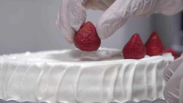 Випічка шеф-кухар в рукавичках кладе полуницю на торт з вершками — стокове відео