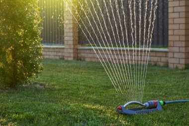 Gün batımında ev bahçesindeki çimleri sulayan otomatik sprey.