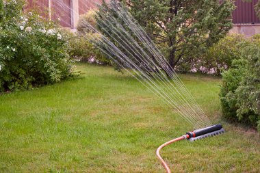 Ev bahçesindeki çimenler büyük bir fıskiyeyle sulanır.