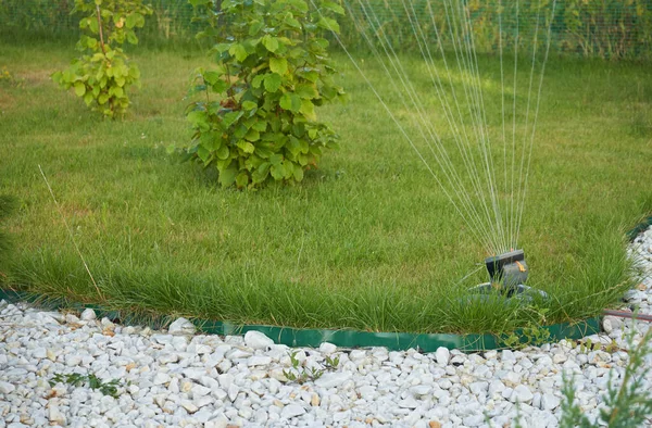 一个明亮的花园草坪用洒水器浇灌 — 图库照片