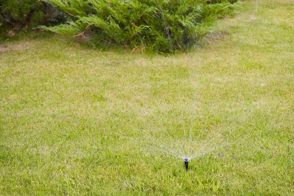 家庭花园草坪自动浇水系统 — 图库照片