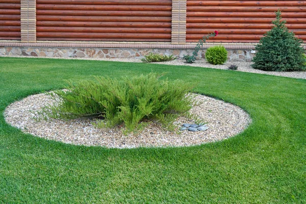 A round flower bed of stones with a juniper in the center — Stock Image A round flower bed of stones with a juniper in the center Royalty Free Stock Images