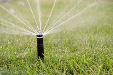 Otomatik sulama sistemi ev bahçesindeki çimleri suluyor.