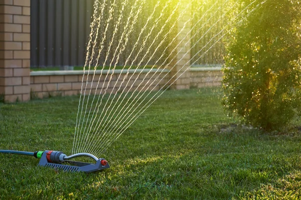 Sprinkler πότισμα του γκαζόν στον κήπο στο σπίτι κατά το ηλιοβασίλεμα — Φωτογραφία Αρχείου