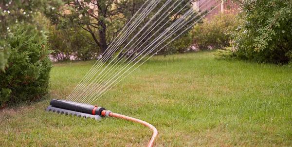 家花园里的草坪用喷雾器浇水 — 图库照片