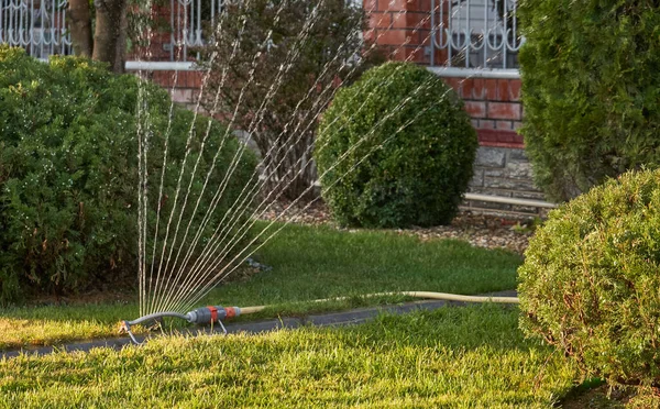 在自家花园里浇灌草坪的喷雾器 — 图库照片