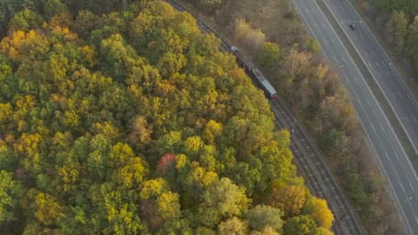 Tramvaj projíždí podzimním lesem, letecký pohled — Stock video