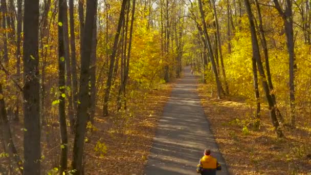 Um homem atleta corre em um parque de outono em um caminho com folhagem — Vídeo de Stock