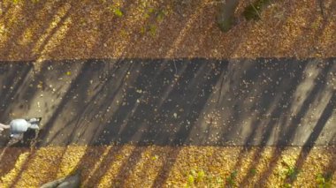 Bebek arabasında bebekle sonbahar parkında yürüyen bir kadın.