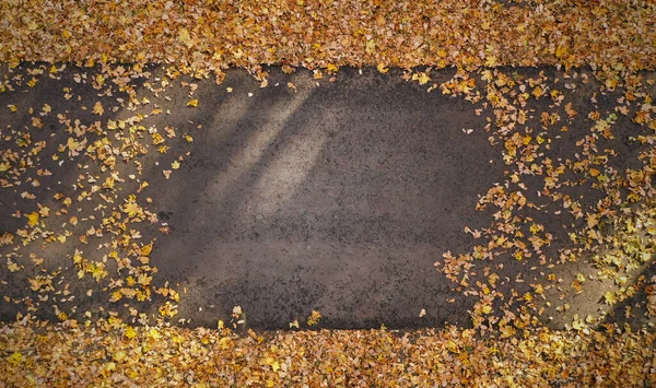 Top view of footpath with autumn leaves and text space — Stock Photo, Image