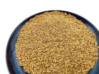 Beyaz arkaplanda izole edilmiş kimyon tohumları yığını