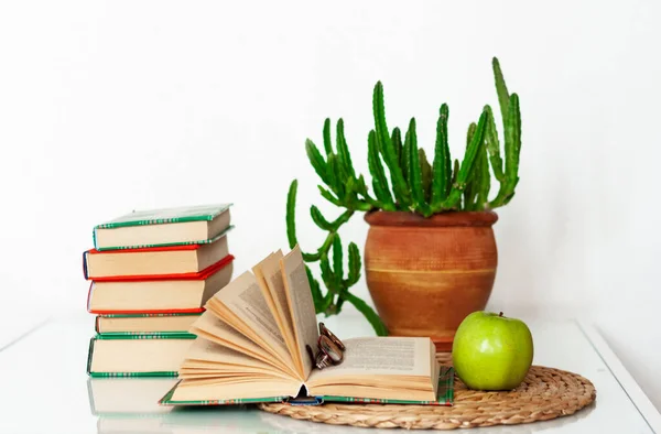 Cozy Home Interior Decor Stack Books Plants Pots Open Book — Stock Photo, Image