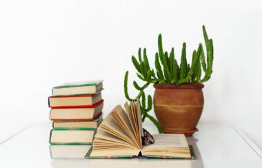 Konforlu ev dekorasyonu: kitap yığını, saksıda bitkiler, beyaz bir masanın üzerinde açık bir kitap. Uzak ev eğitimi. Evde kalma karantina kavramı.