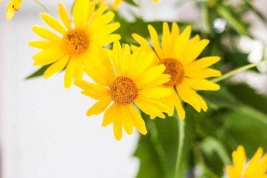 Odadaki beyaz bir masanın üstünde vazoda sarı çiçekler var.