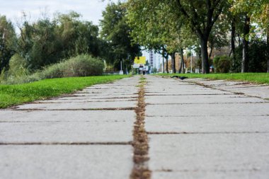 Gri beton levhalar - parkta yürüyüş alanı