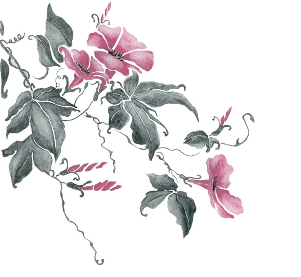 Egy Gyönyörű Virágos Akvarell Ábra Mutatja Ezek Rózsaszín Egzotikus Virágok — Stock Fotó